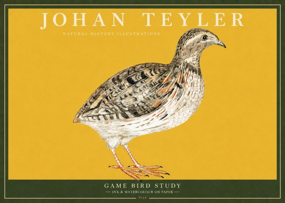 Johan Teyler Game Bird Study No2 - Juliste