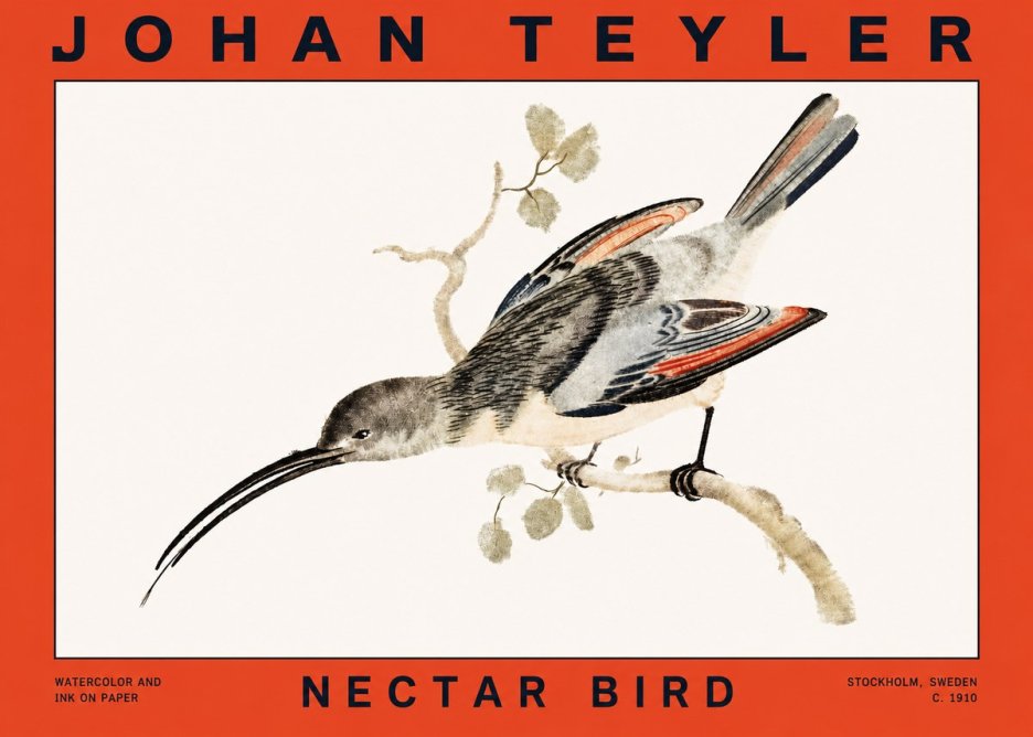 Johan Teyler Nectar Bird No2 - Juliste
