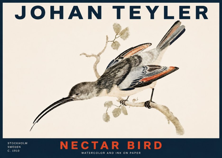 Johan Teyler Nectar Bird No4 - Juliste