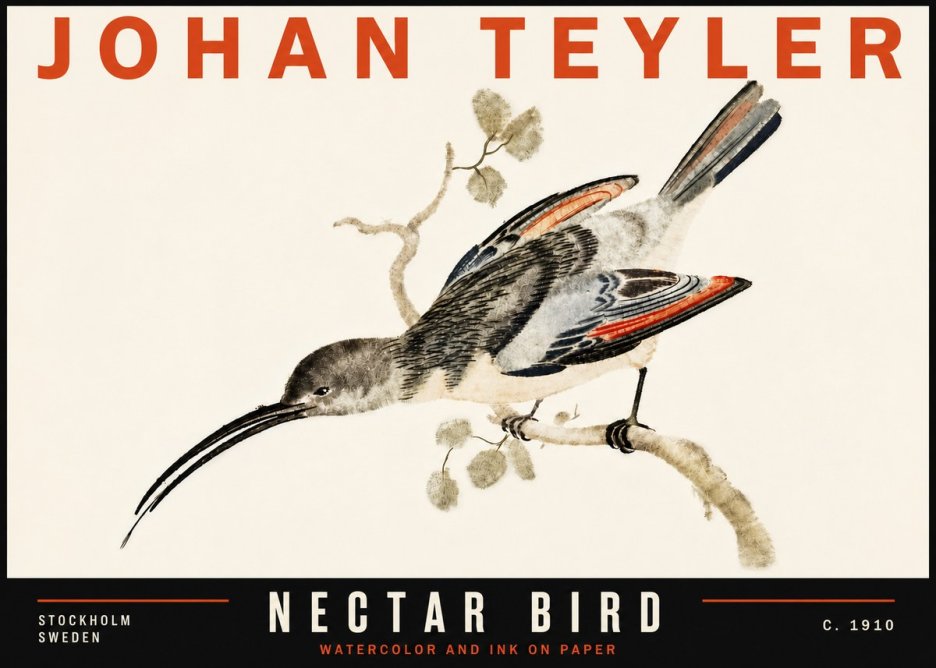 Johan Teyler Nectar Bird No6 - Juliste