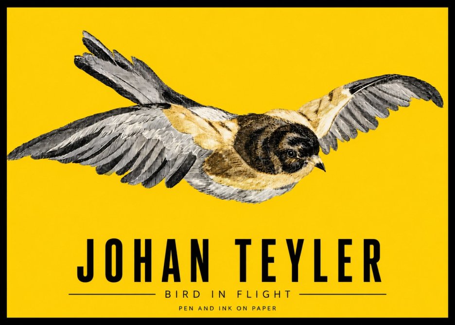 Johan Teyler Bird in Flight I No3 - Juliste