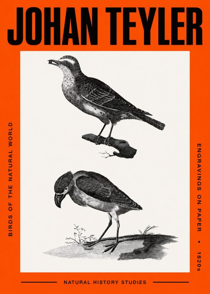 Johan Teyler Birds of the Natural World No2 - Juliste