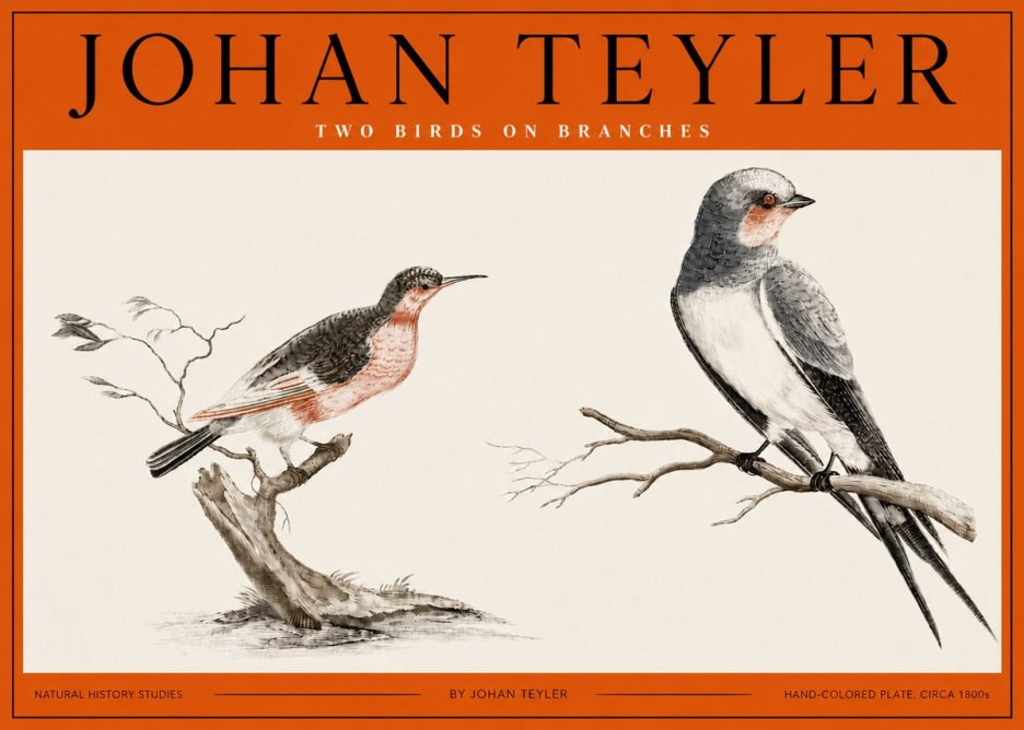 Johan Teyler Two Birds on Branches No2 - Juliste