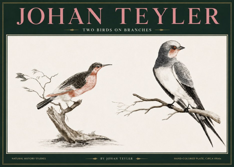 Johan Teyler Two Birds on Branches No3 - Juliste