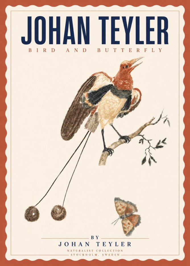 Johan Teyler Bird and Butterfly No3 - Juliste