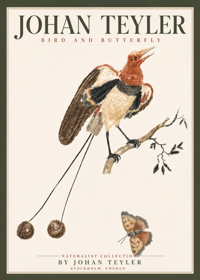 Johan Teyler Bird and Butterfly No4 - Juliste