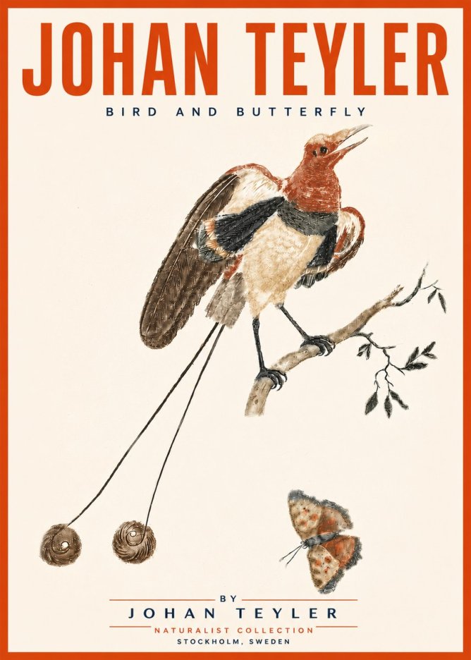 Johan Teyler Bird and Butterfly No5 - Juliste