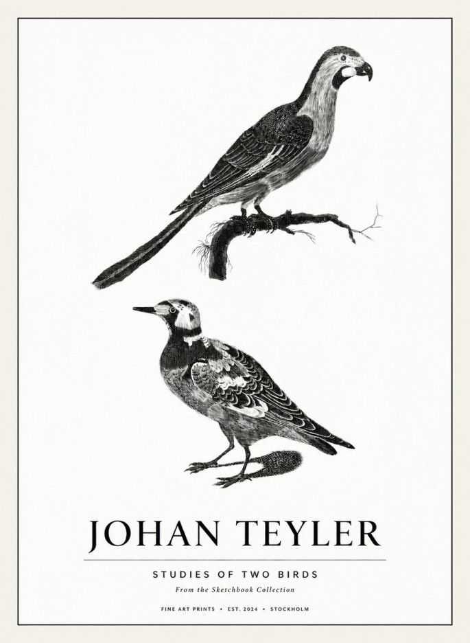 Johan Teyler Birds - Study of Two Species No3 - Juliste