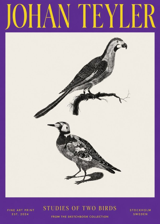 Johan Teyler Birds - Study of Two Species No4 - Juliste