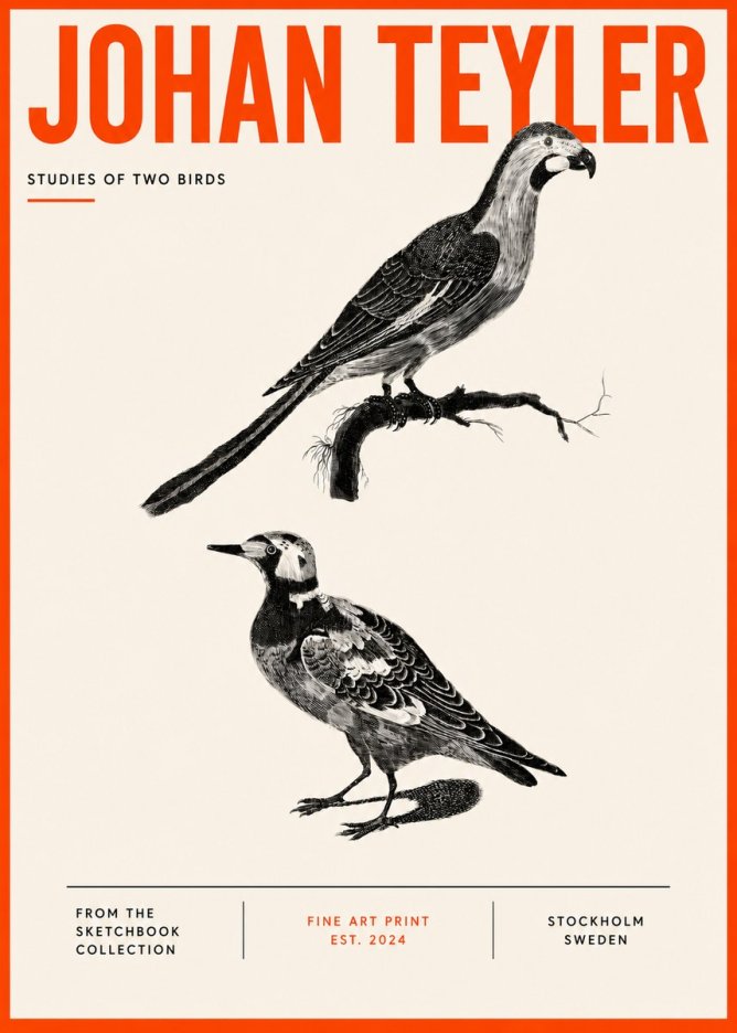 Johan Teyler Birds - Study of Two Species No5 - Juliste