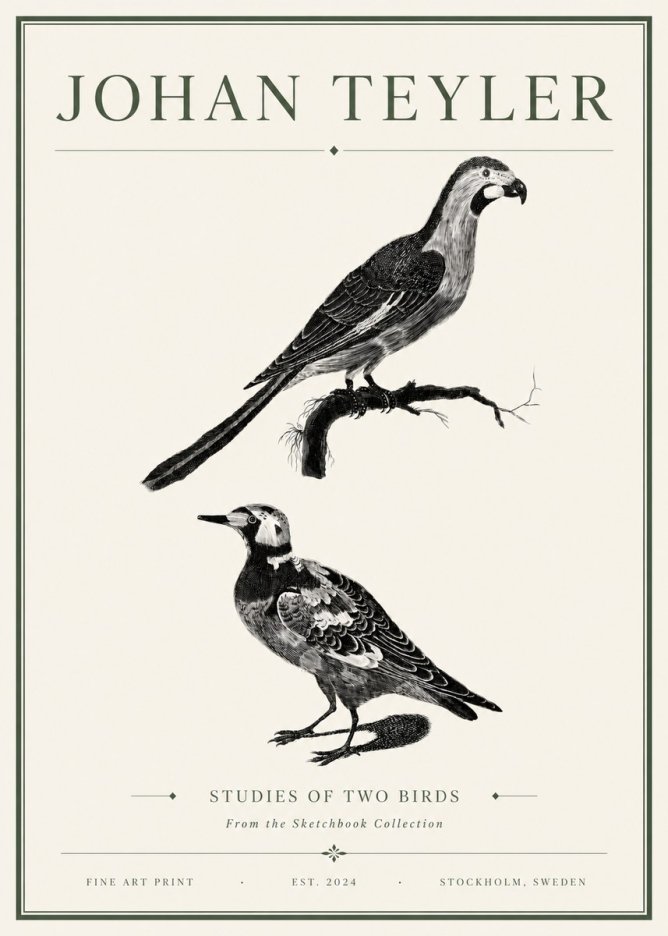 Johan Teyler Birds - Study of Two Species No6 - Juliste