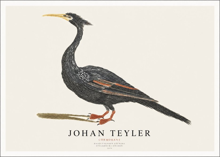 Johan Teyler Cormorant No1 - Juliste