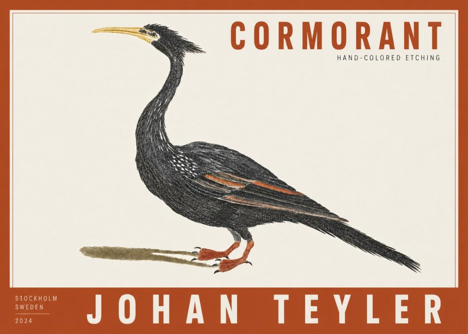 Johan Teyler Cormorant No2 - Juliste