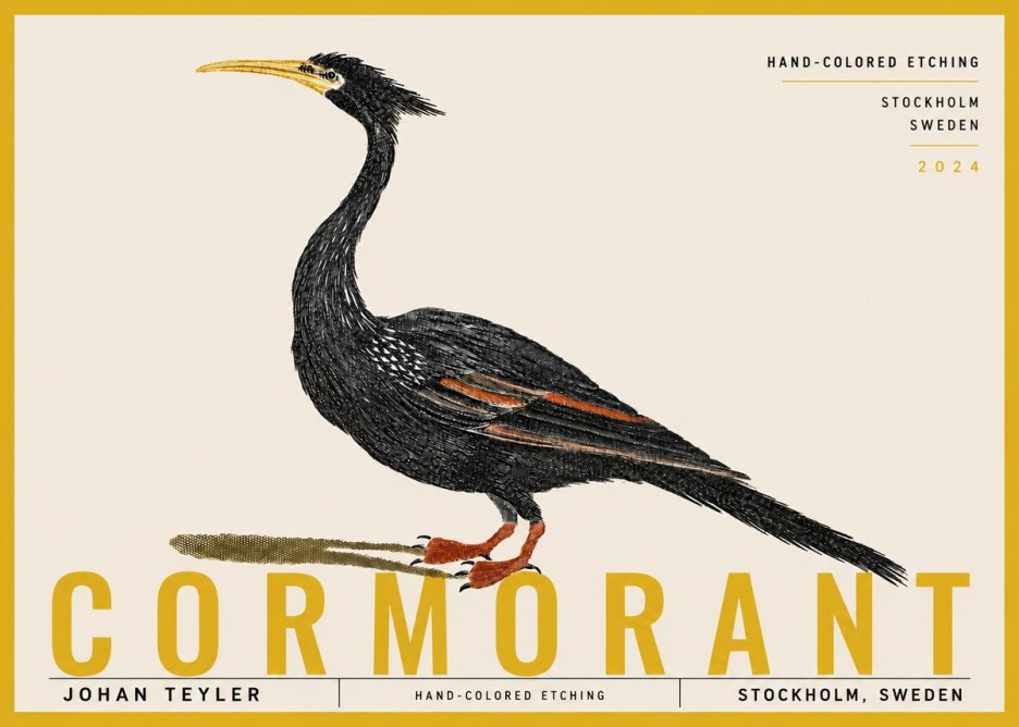 Johan Teyler Cormorant No6 - Juliste