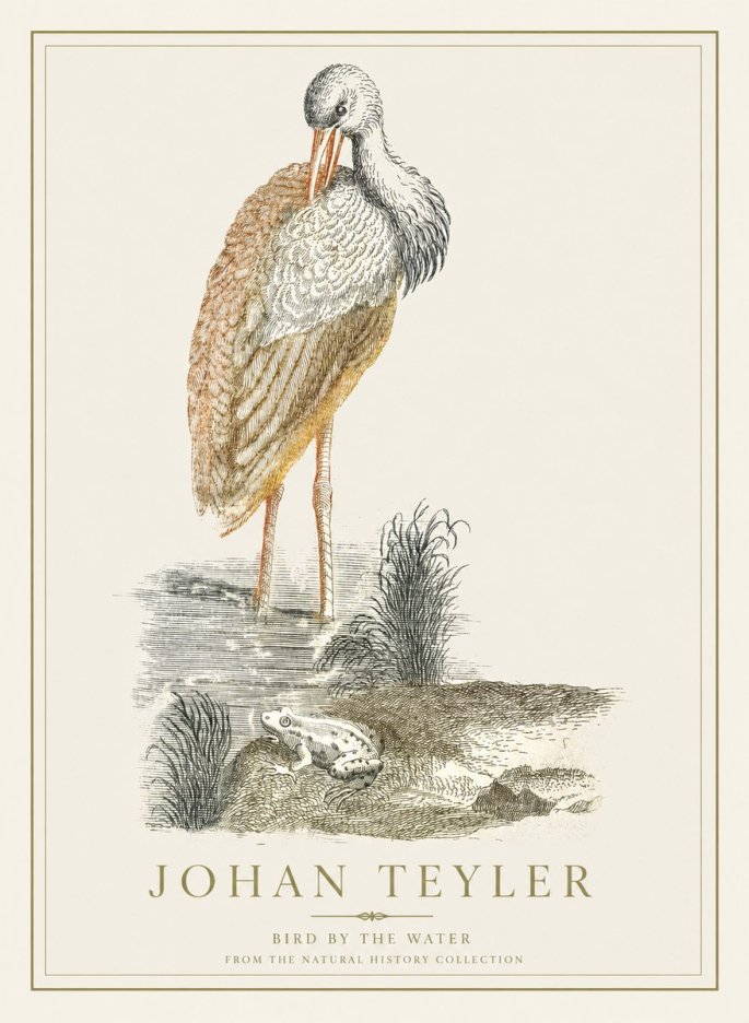 Johan Teyler Bird by the Water No1 - Juliste
