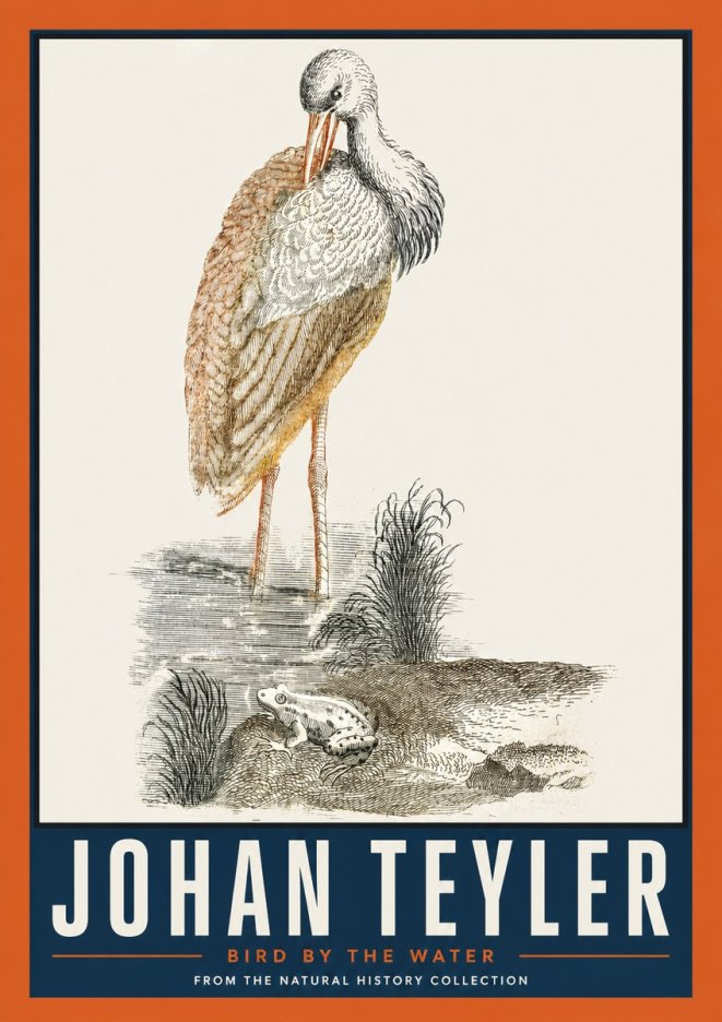 Johan Teyler Bird by the Water No2 - Juliste