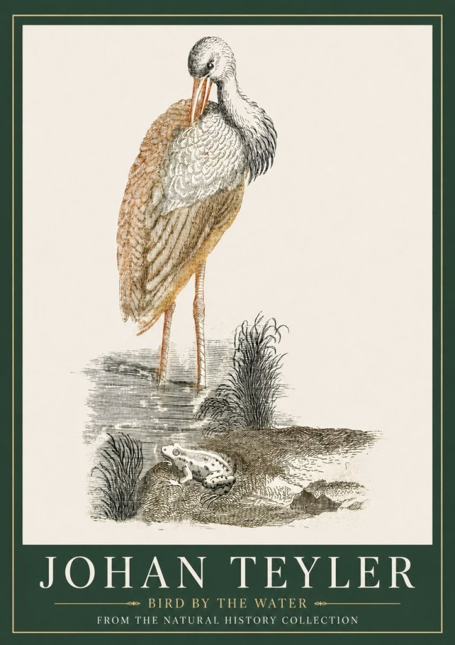 Johan Teyler Bird by the Water No3 - Juliste