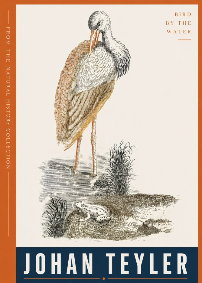 Johan Teyler Bird by the Water No4 - Juliste
