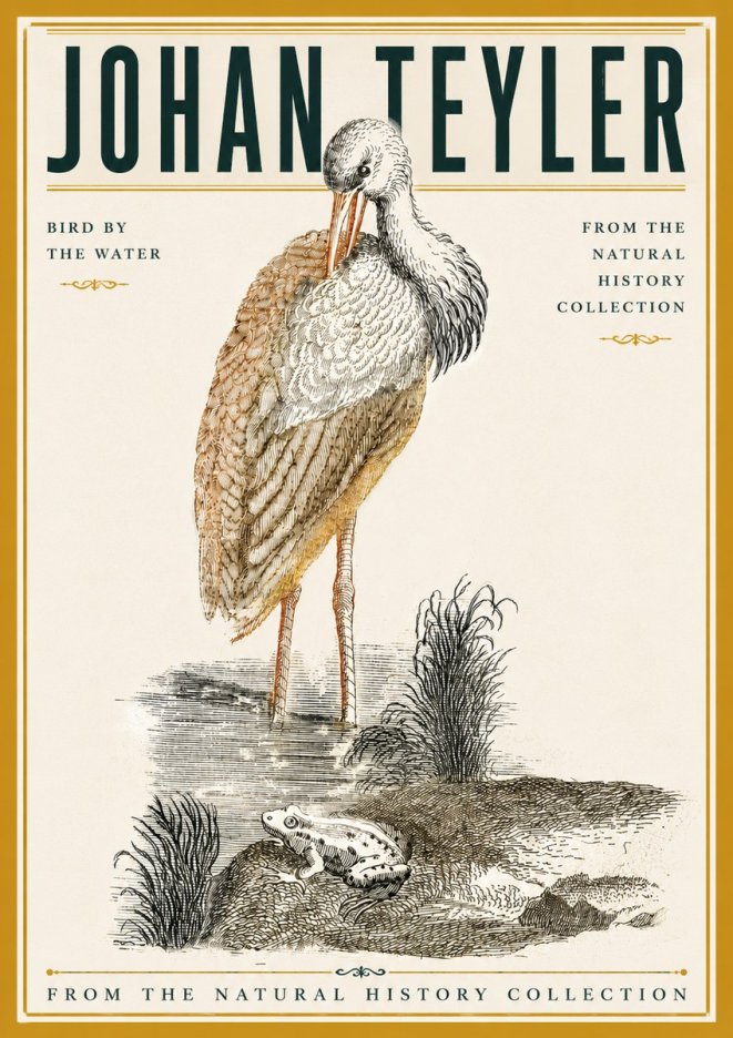 Johan Teyler Bird by the Water No6 - Juliste