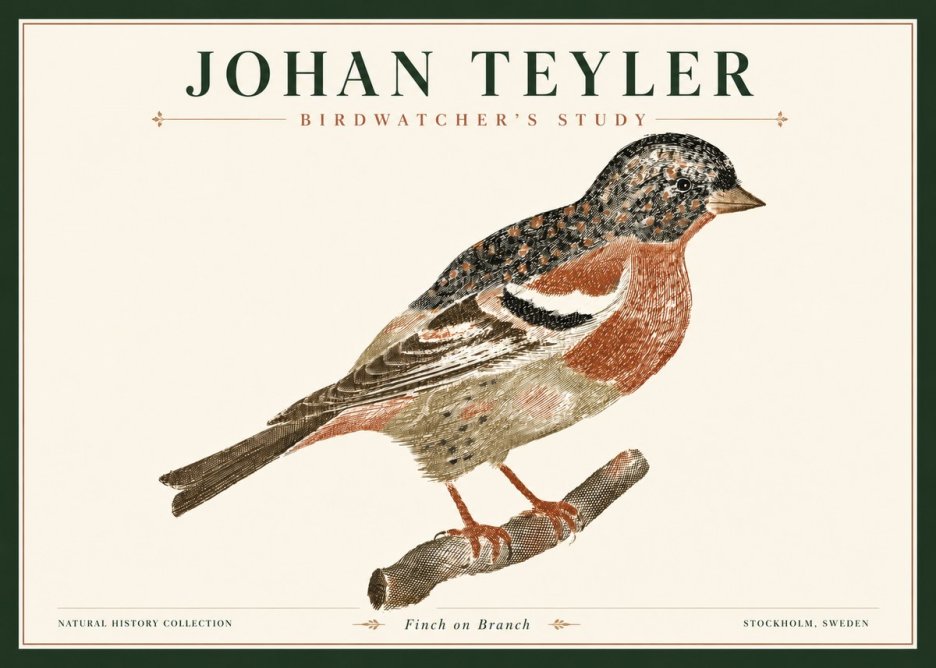 Johan Teyler Finch on Branch No4 - Juliste