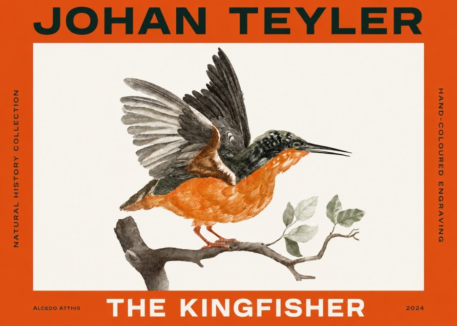Johan Teyler Kingfisher No4 - Juliste