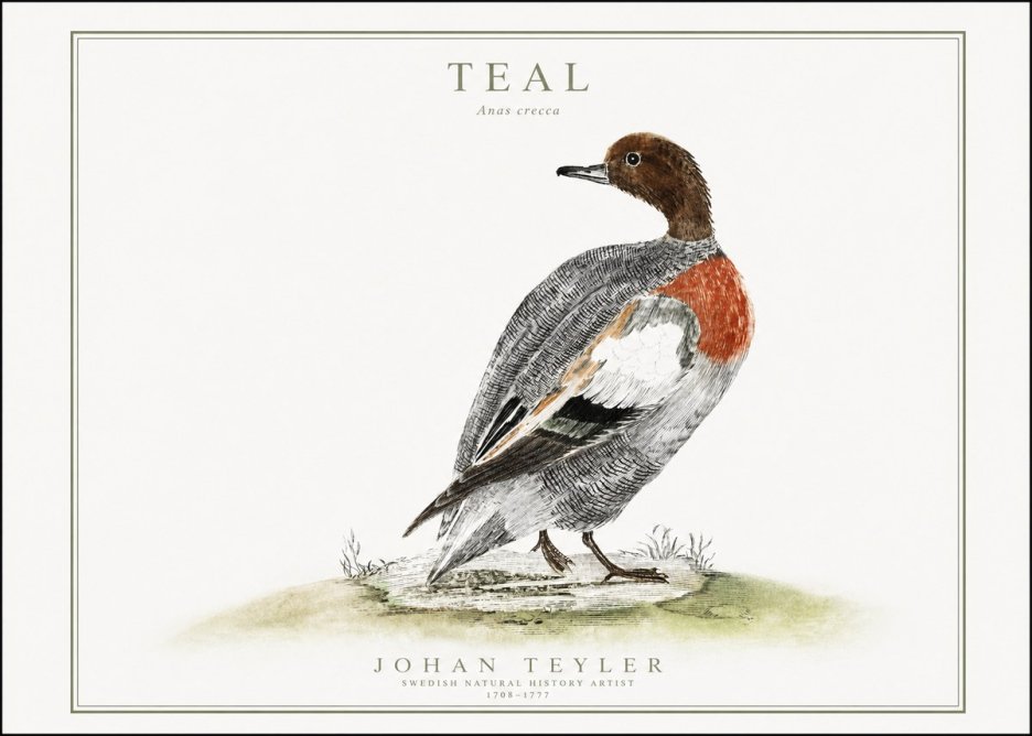 Johan Teyler Teal No1 - Juliste