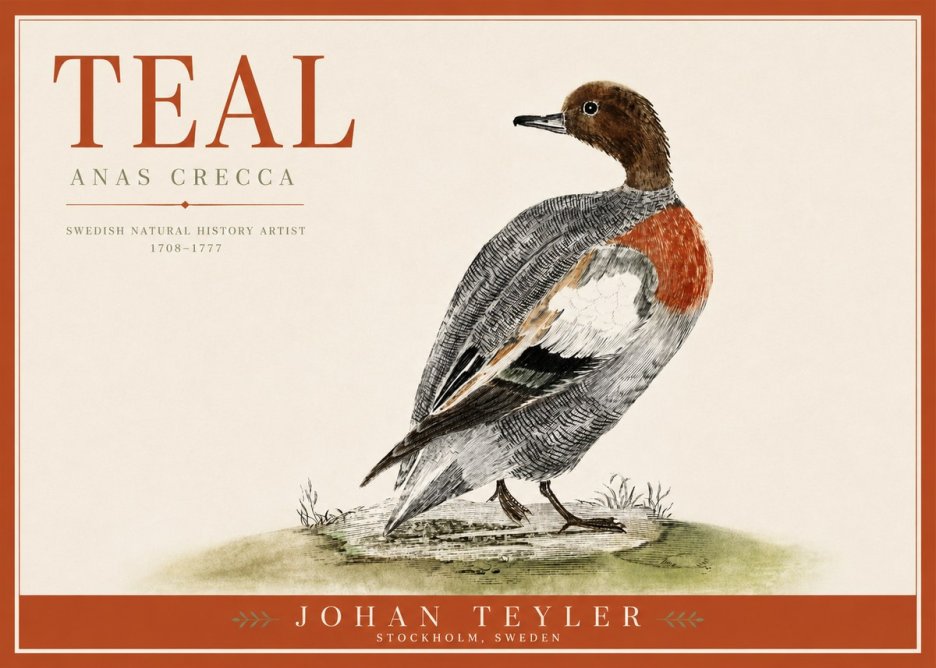 Johan Teyler Teal No3 - Juliste