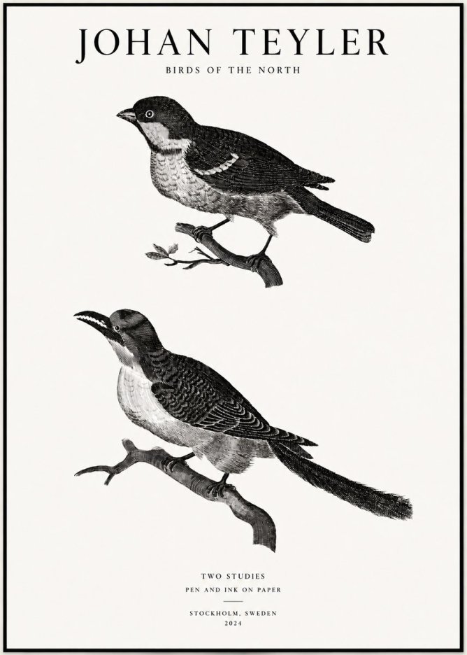 Johan Teyler Two Studies No1 - Juliste
