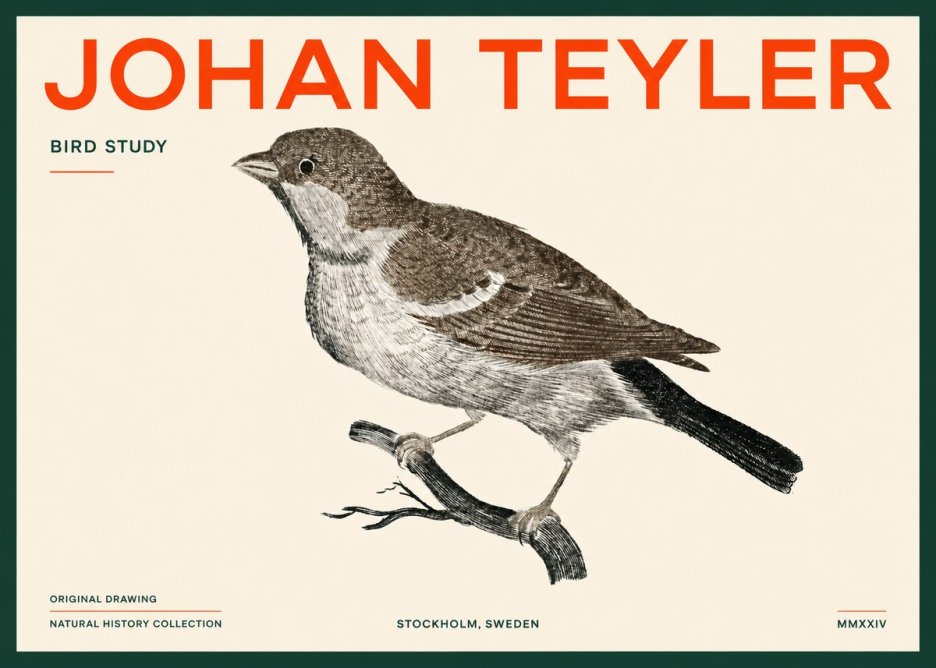 Johan Teyler Bird Study II No5 - Juliste