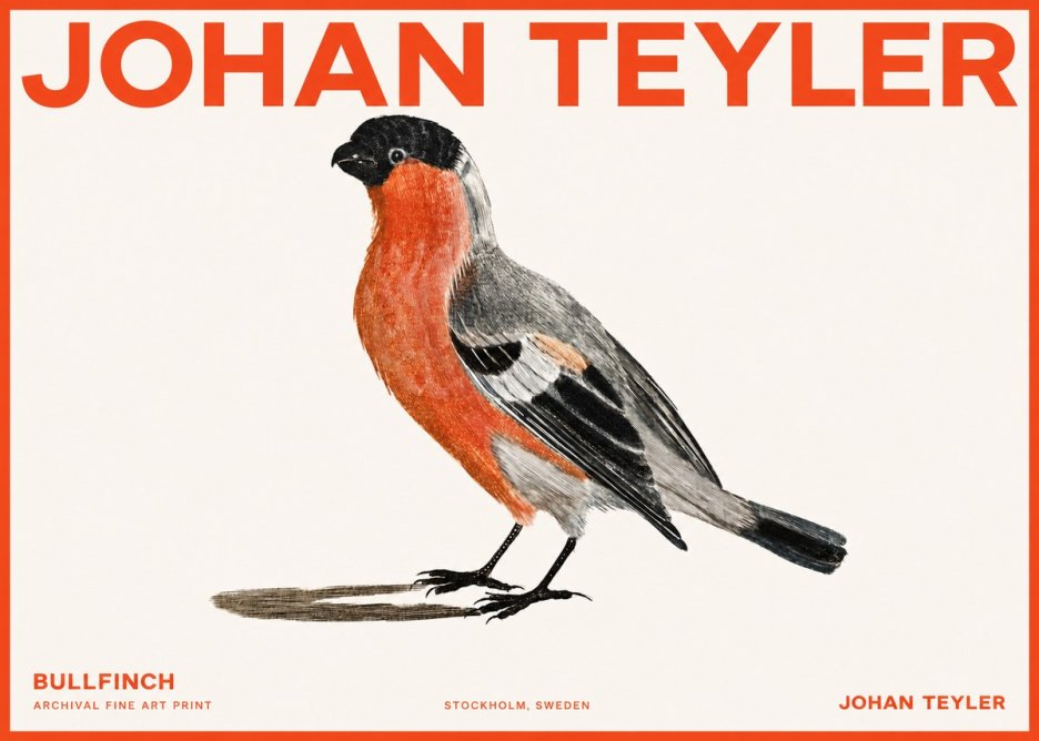 Johan Teyler Bullfinch No2 - Juliste