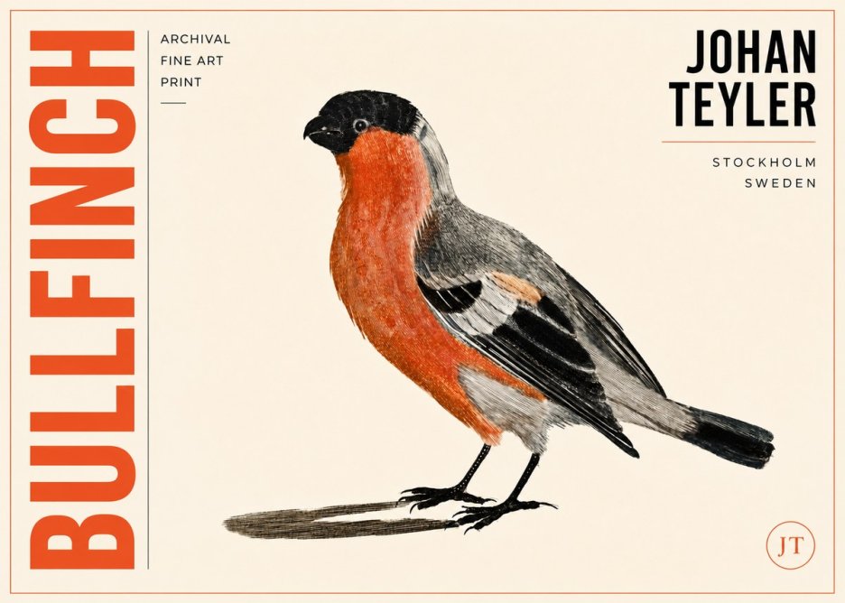 Johan Teyler Bullfinch No3 - Juliste