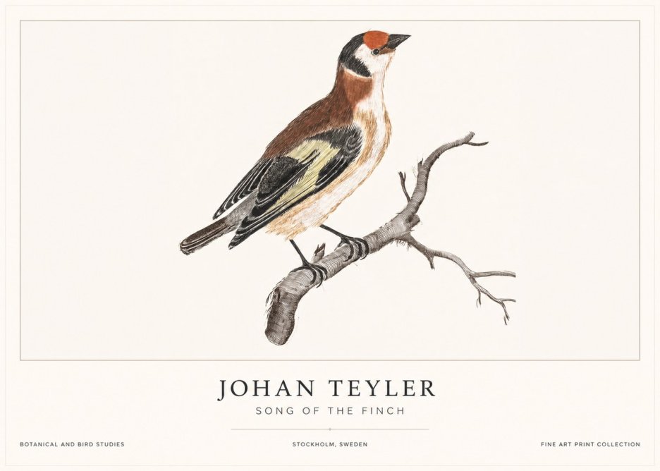 Johan Teyler Song of the Finch No1 - Juliste