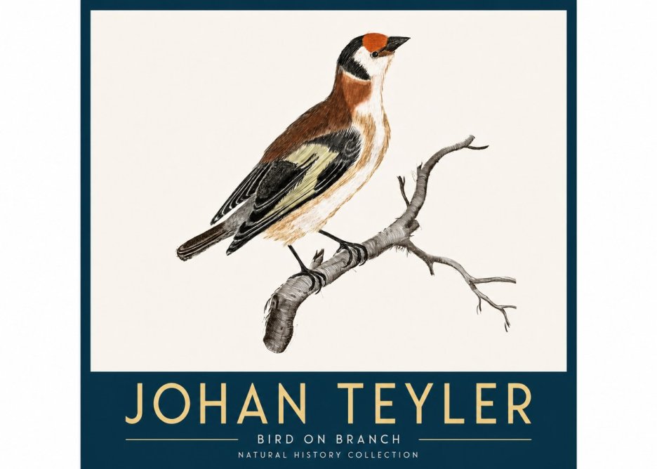 Johan Teyler Song of the Finch No4 - Juliste