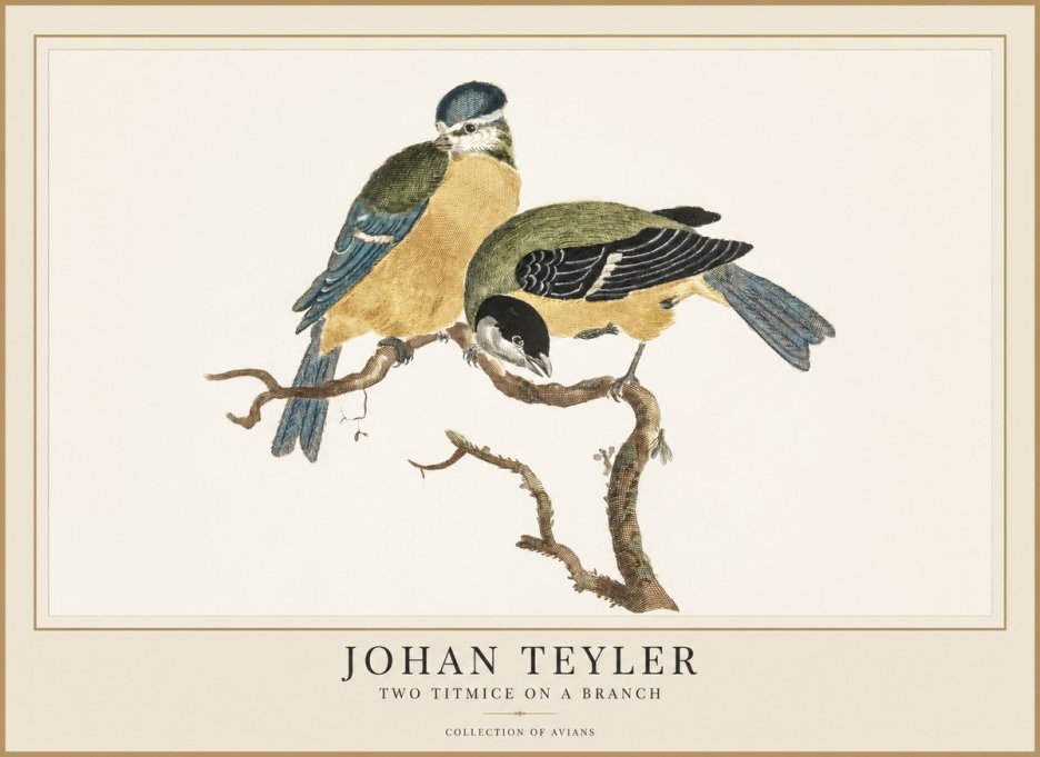 Johan Teyler Two Titmice on a Branch No1 - Juliste