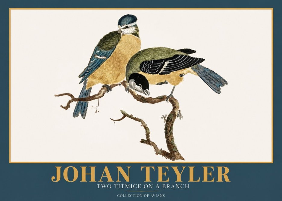 Johan Teyler Two Titmice on a Branch No2 - Juliste