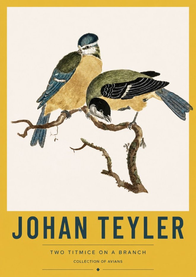 Johan Teyler Two Titmice on a Branch No3 - Juliste