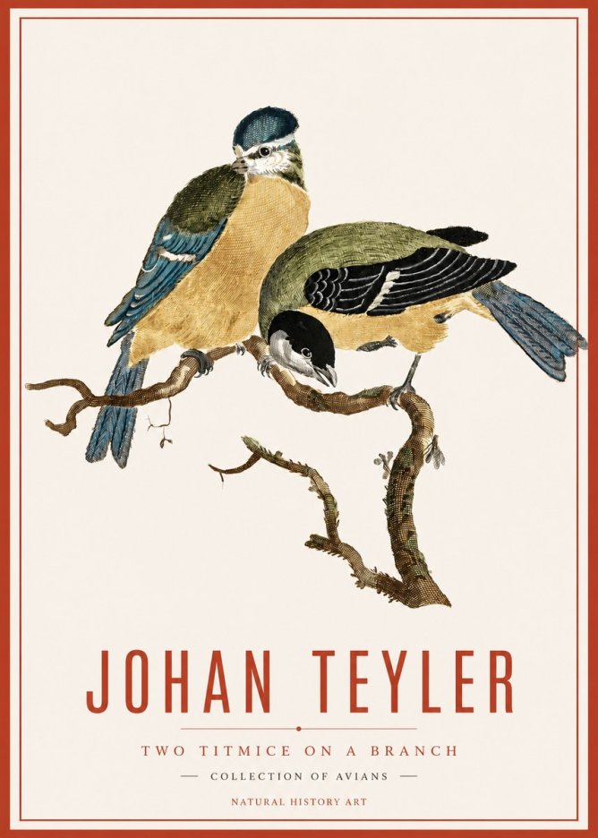Johan Teyler Two Titmice on a Branch No6 - Juliste