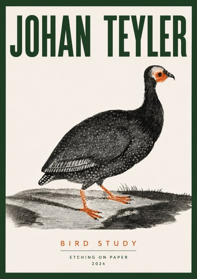 Johan Teyler Bird Study III No3 - Juliste