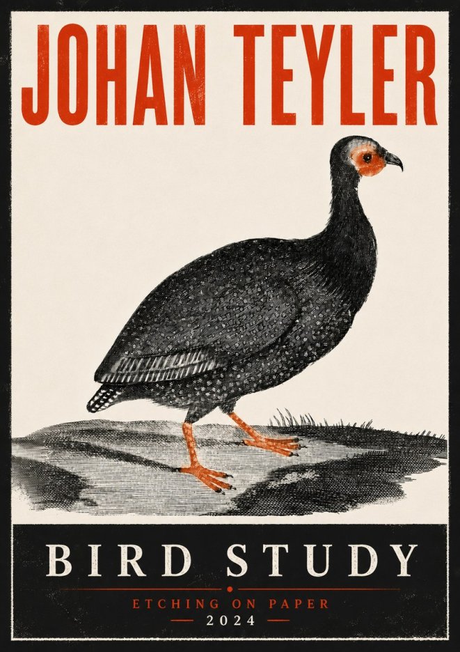 Johan Teyler Bird Study III No6 - Juliste