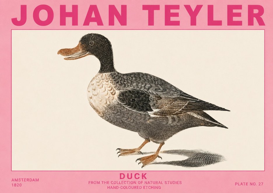 Johan Teyler Duck I No5 - Juliste