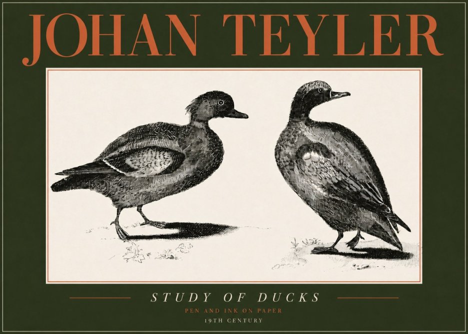 Johan Teyler Study of Ducks No4 - Juliste