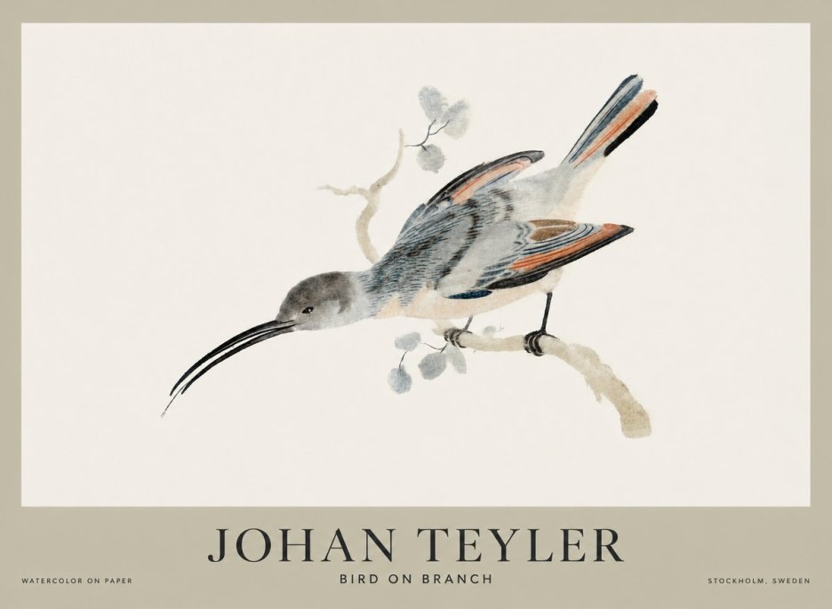 Johan Teyler Bird on Branch I No1 - Juliste