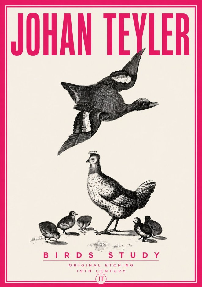 Johan Teyler Birds Study No6 - Juliste