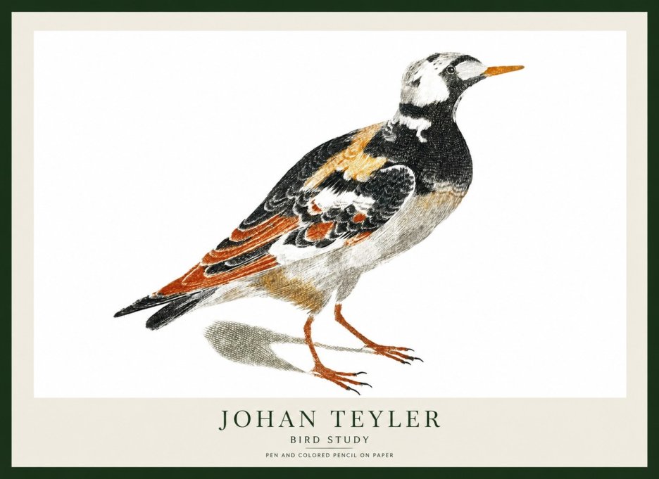 Johan Teyler Bird Study IV No1 - Juliste