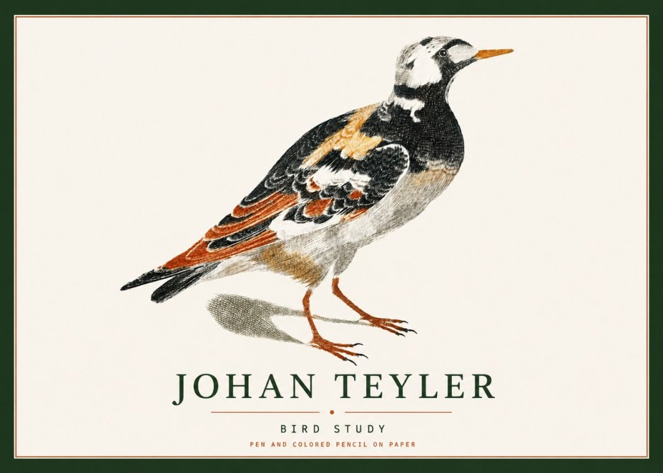 Johan Teyler Bird Study IV No4 - Juliste
