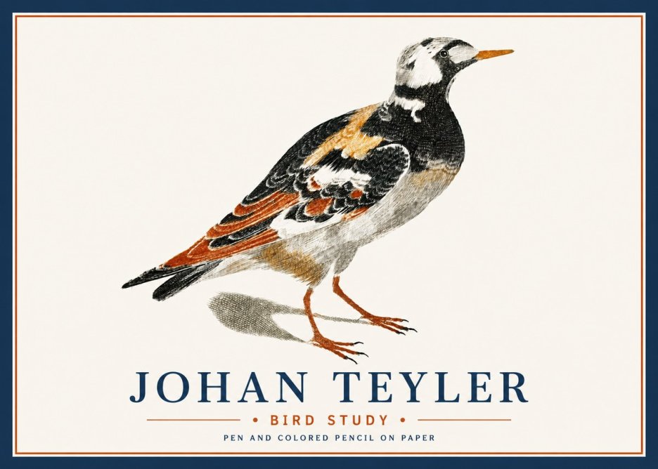 Johan Teyler Bird Study IV No6 - Juliste