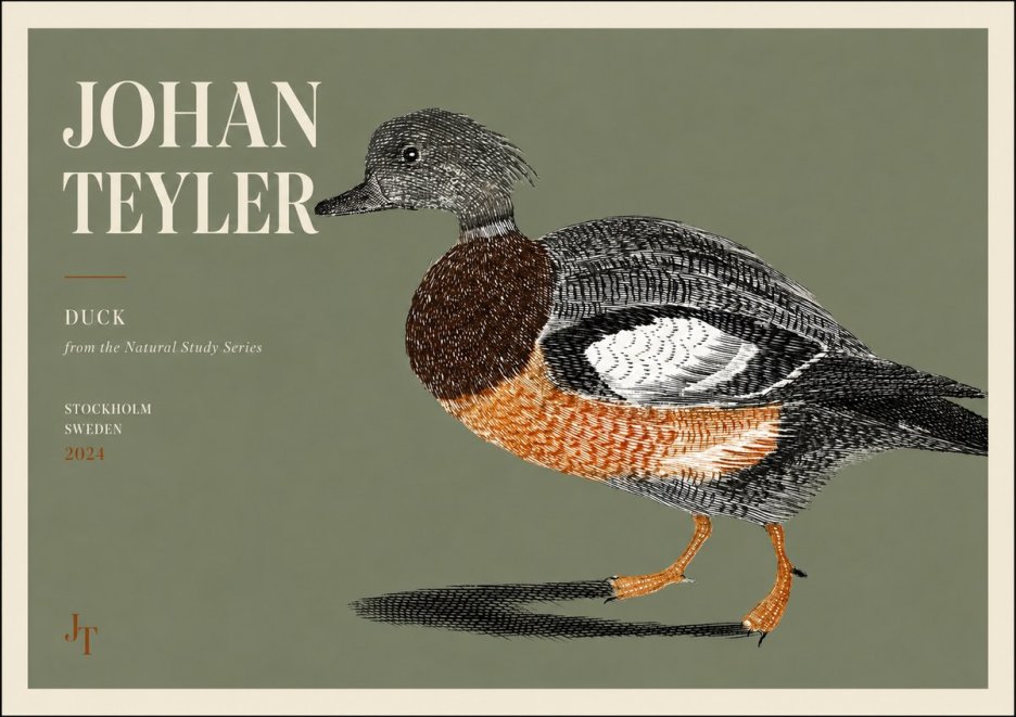 Johan Teyler Duck II No3 - Juliste