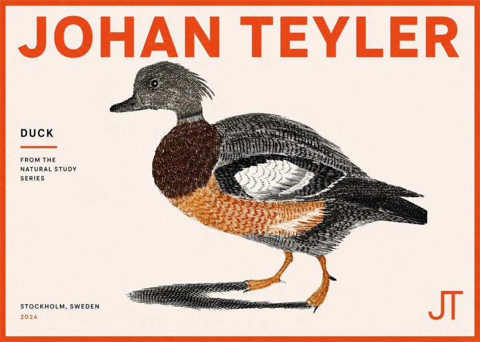 Johan Teyler Duck II No5 - Juliste