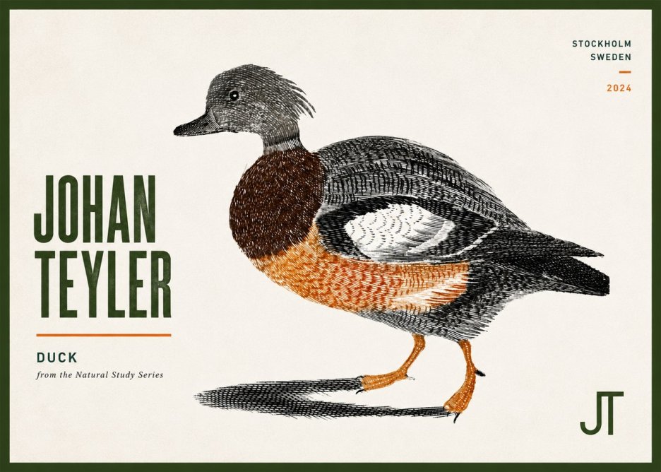 Johan Teyler Duck II No6 - Juliste