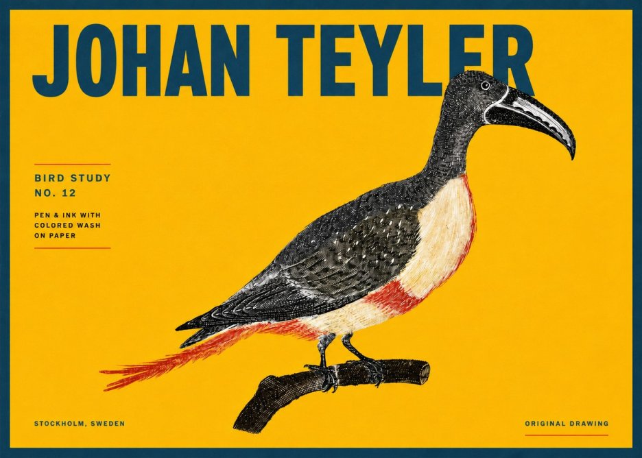 Johan Teyler Bird Study No. 12 - Original Drawing No4 - Juliste